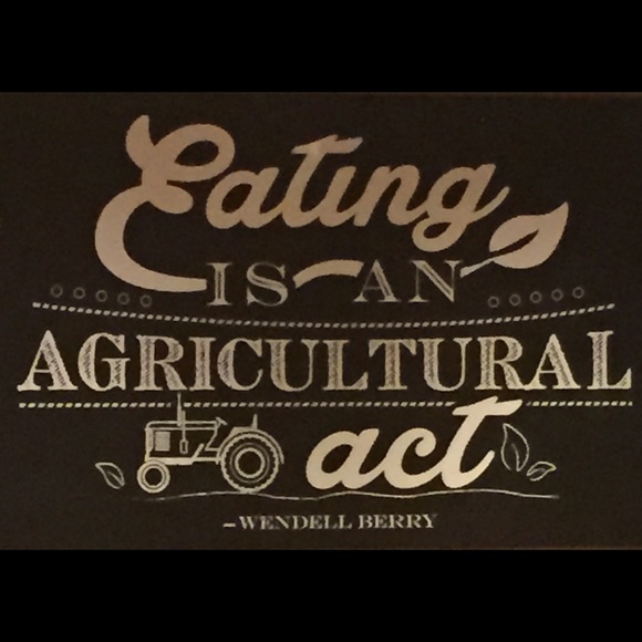 Meet your Posher, Zane - Picture 2 of 4